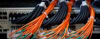 Kabel an einem Netzwerk-Switch