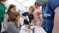 Kinder bohren in eine Kokosnuss