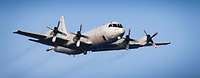 Aufklärungsflugzeug P-3 C Orion im Flug