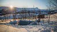 Bei Dämmerung ist ein weiß getarntes Zelt im Schnee zu erkennen.