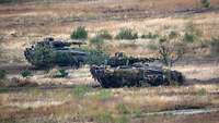Zwei Schützenpanzer vom Typ Puma fahren auf freiem Gelände