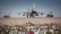 Blumenwiese vor einem Tornado auf der AirBase