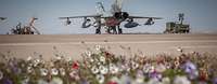 Blumenwiese vor einem Tornado auf der AirBase