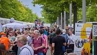 Eine Straße mit Besuchern des ersten Nationalen Veteranentag