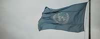 Vor grauem Hintergrund weht die Flagge der United Nations.