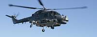 Hubschrauber Typ Sea Lynx in der Luft